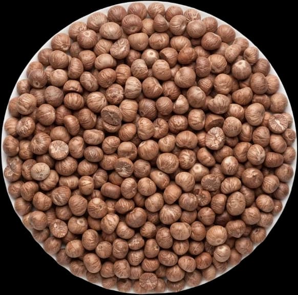 Whole dried areca nuts